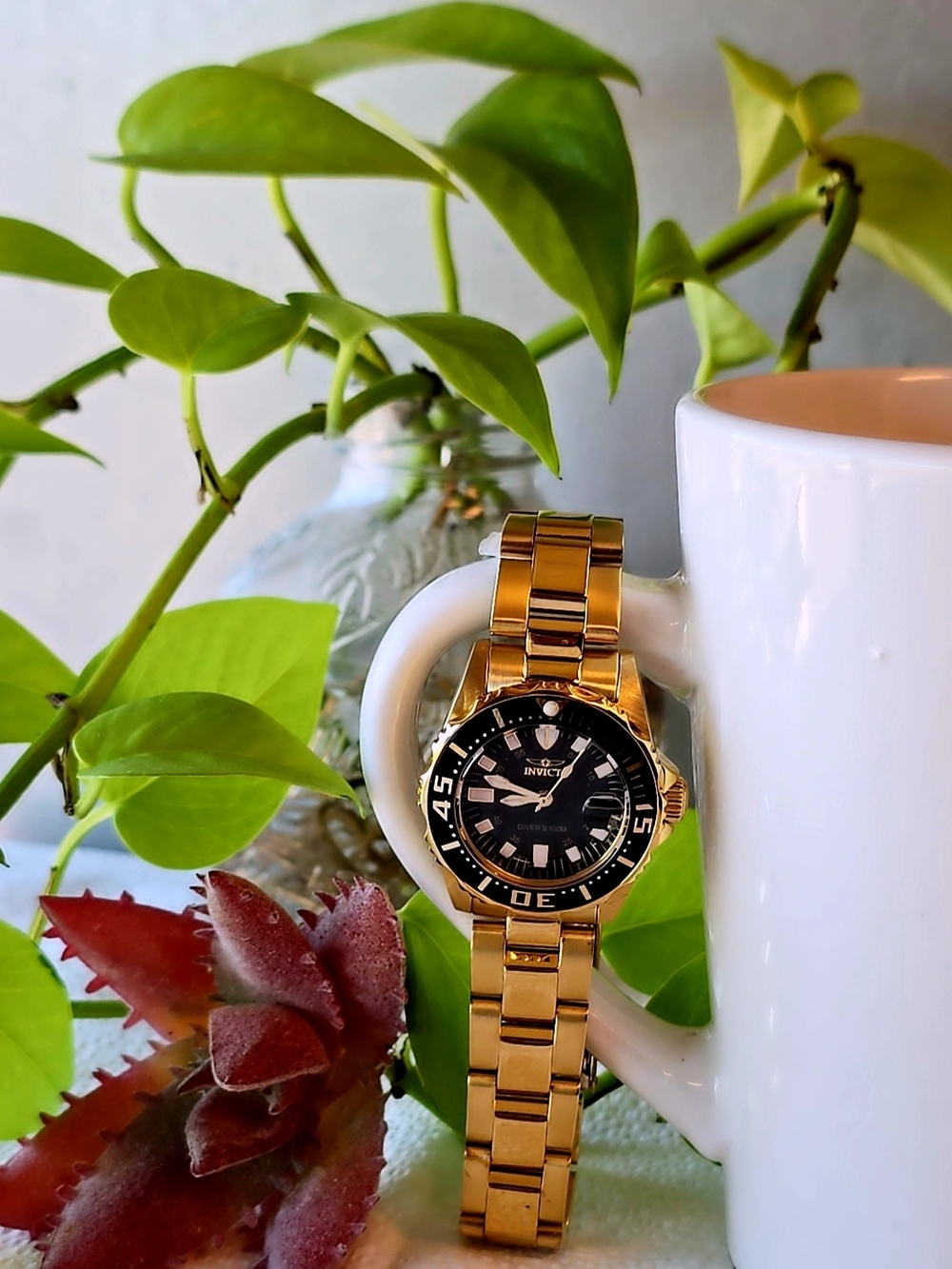 Pro Diver Zager Exclusive Lady